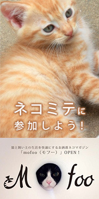 ～モフー～猫生活マガジン | ネコと飼い主の生活を快適にするお洒落ねこマガジン